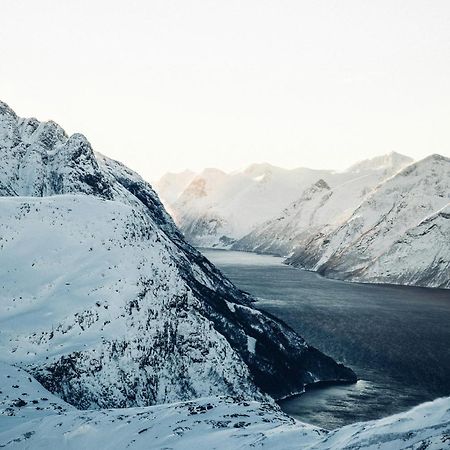 Unik Leilighet I Alesund Sentrum Buitenkant foto